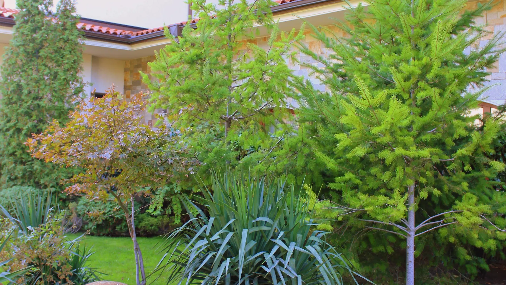***** Resort Helena Sands Sunny Beach Bulgaria